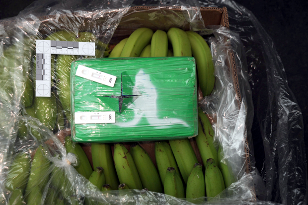 Тона кокаина међу бананама, товар тежак 50 милиона евра: Пресечен ланац трговине дрогом за БиХ